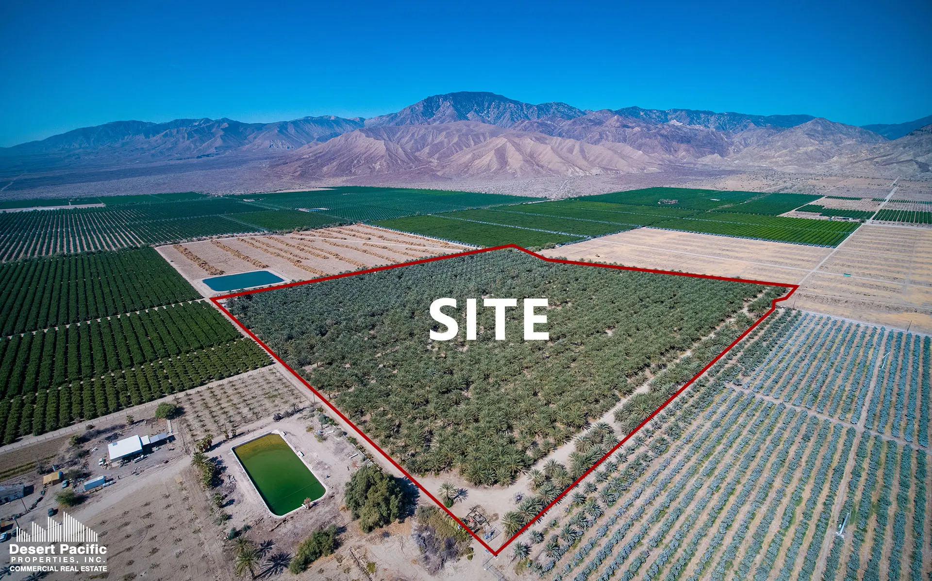 40.74 AC Polk St & Ave 74, TH Featured Image